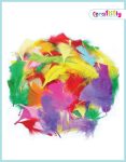 Mixed Small Craft Feathers