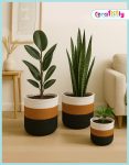 tob-3pcs-set7